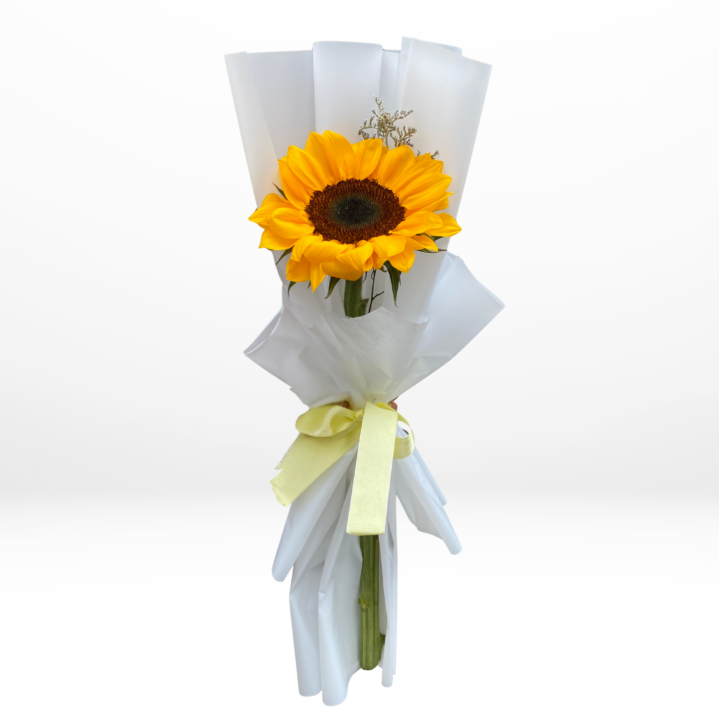 1 Girasol - Flores amarillas