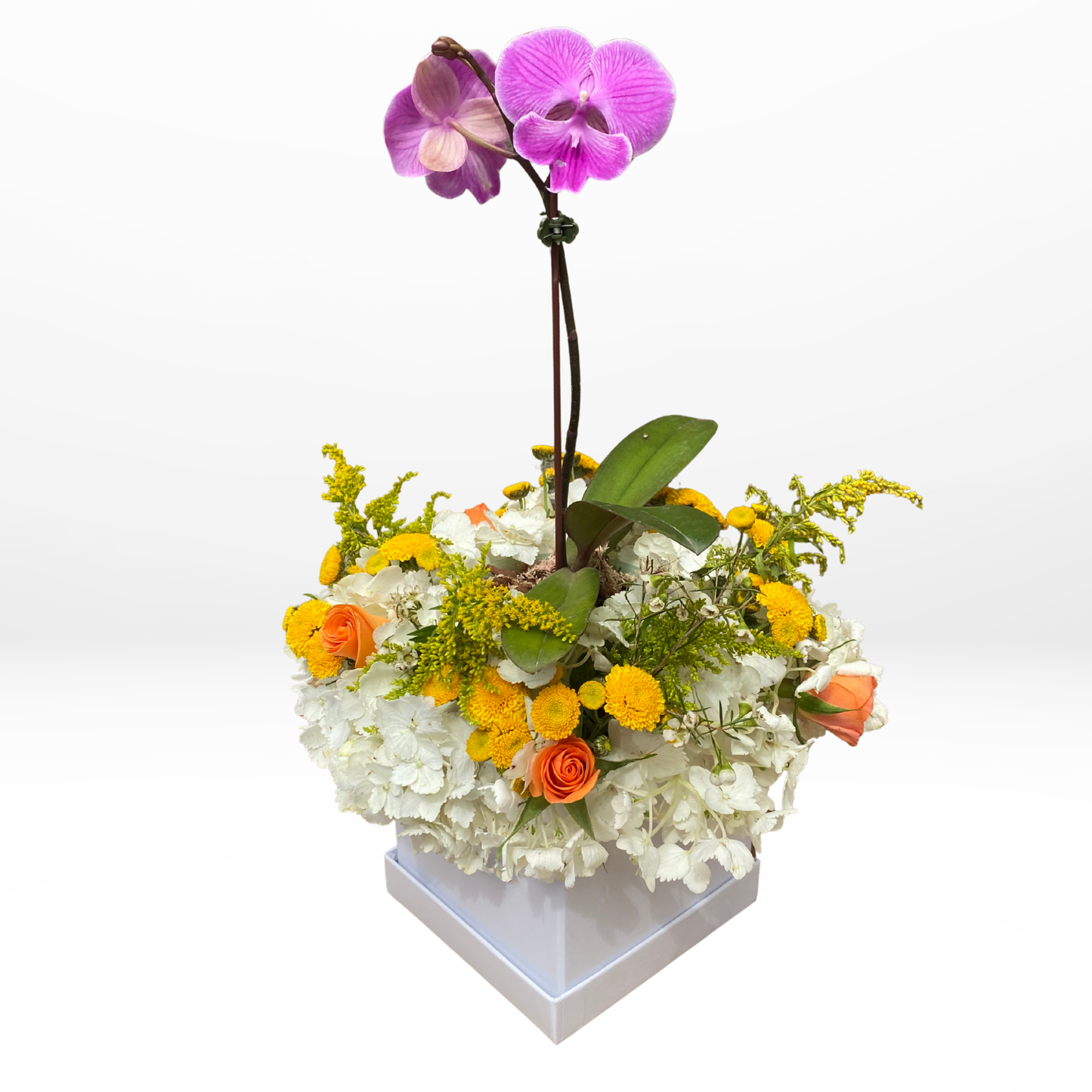 Box anahi – Version - Flores amarillas