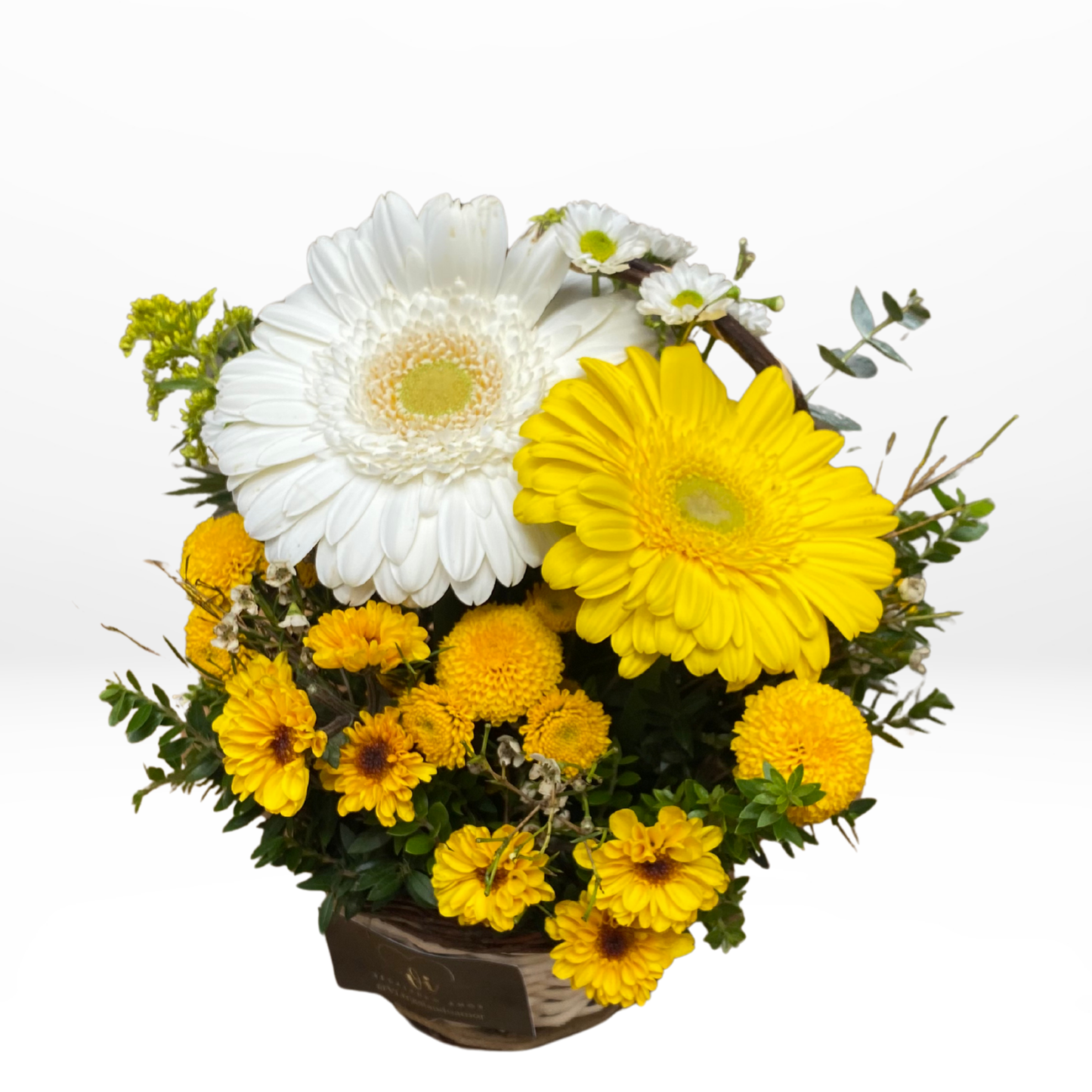 Mini Canasta Isabel – Gerberas Amarillas y Blancas - Flores amarillas