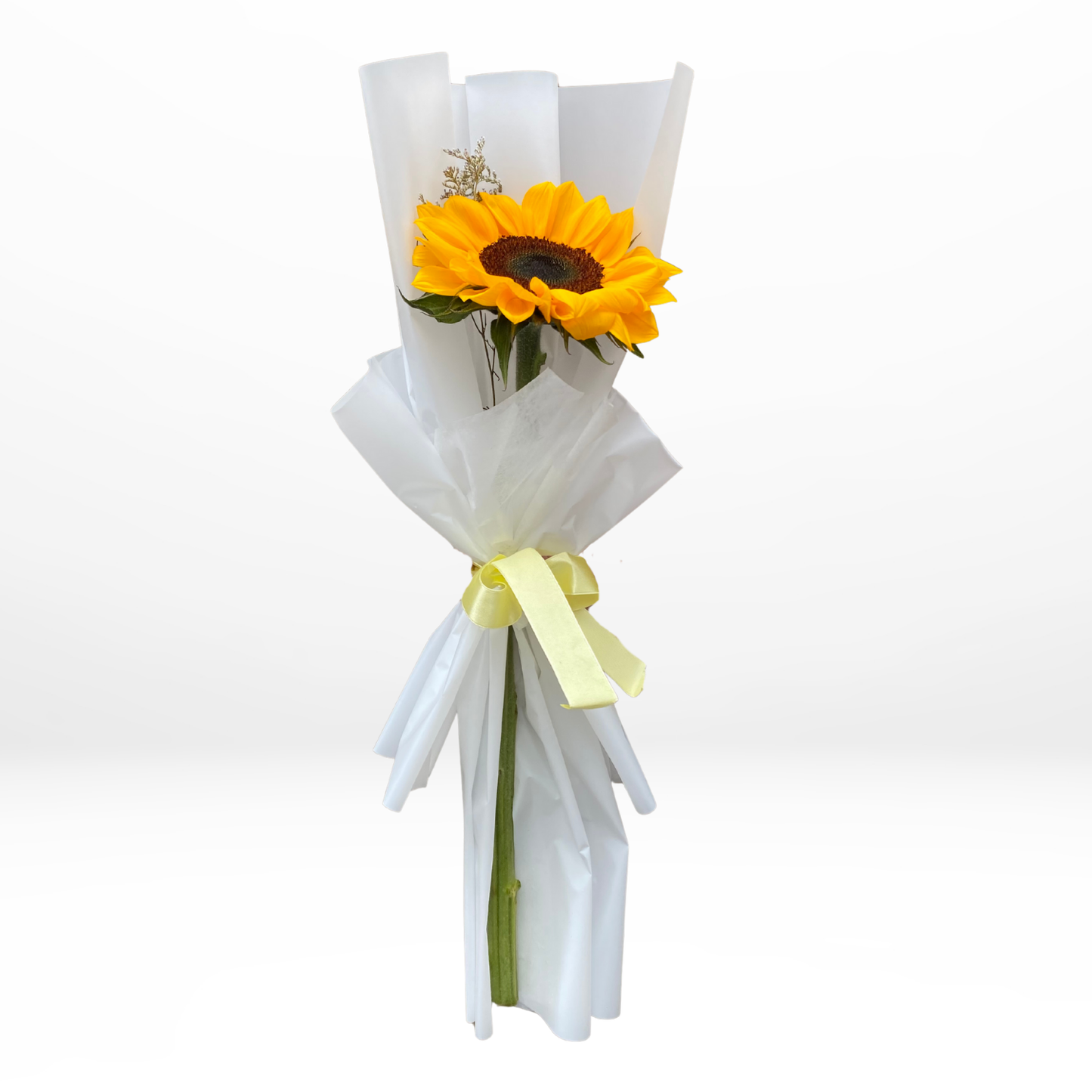 1 Girasol - Flores amarillas