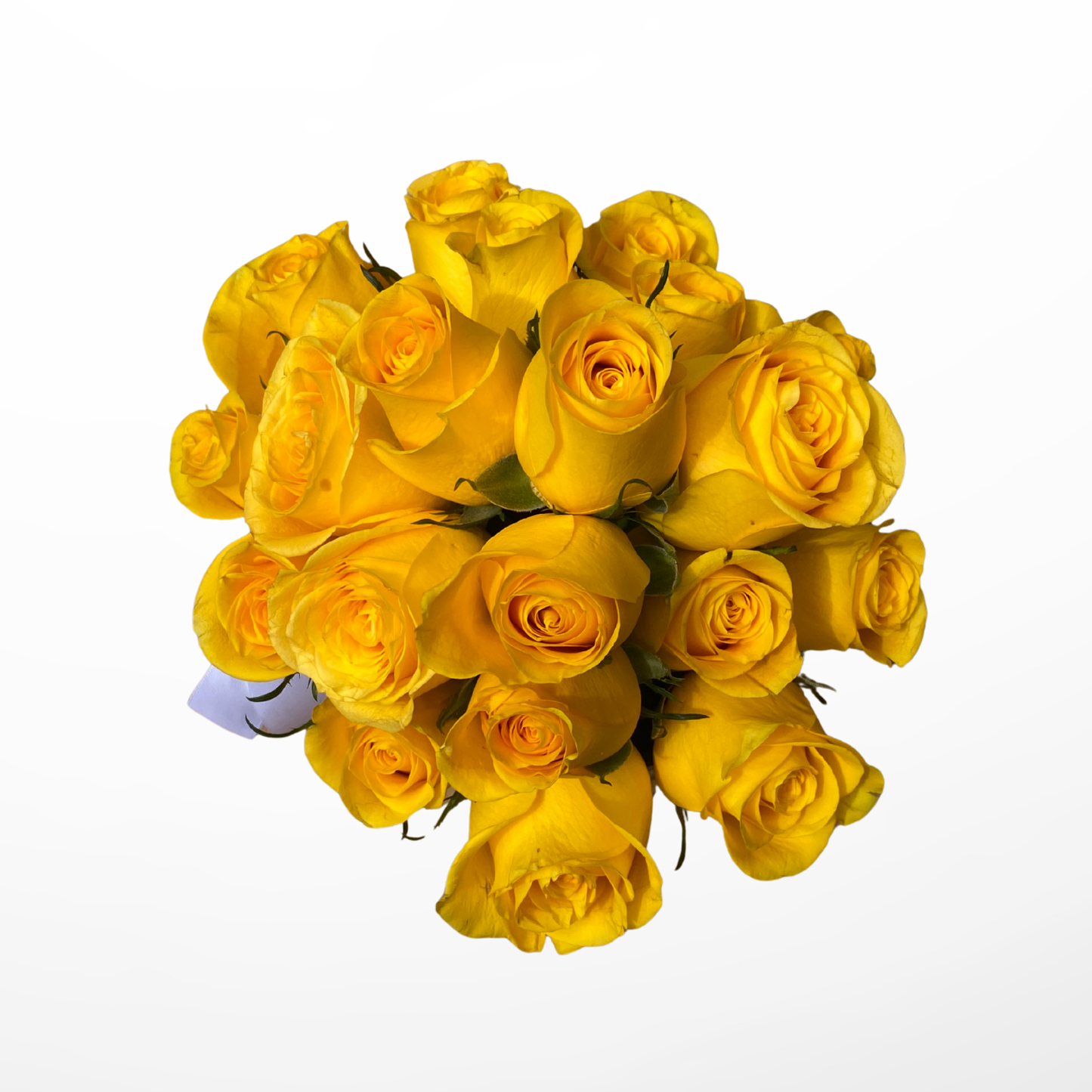 Caja Clásica – 24 Rosas Amarillas - Flores Amarillas