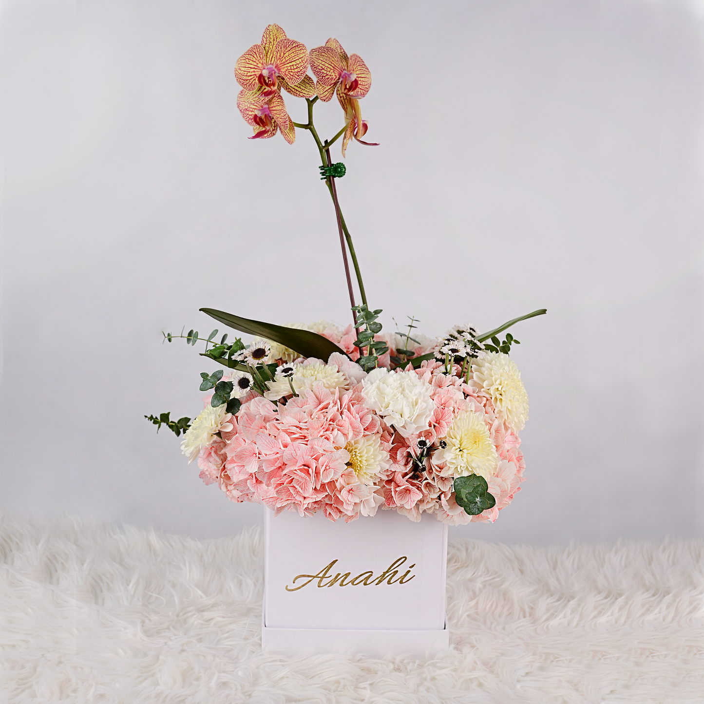 Box Anahí – Orquídea y Hortensias