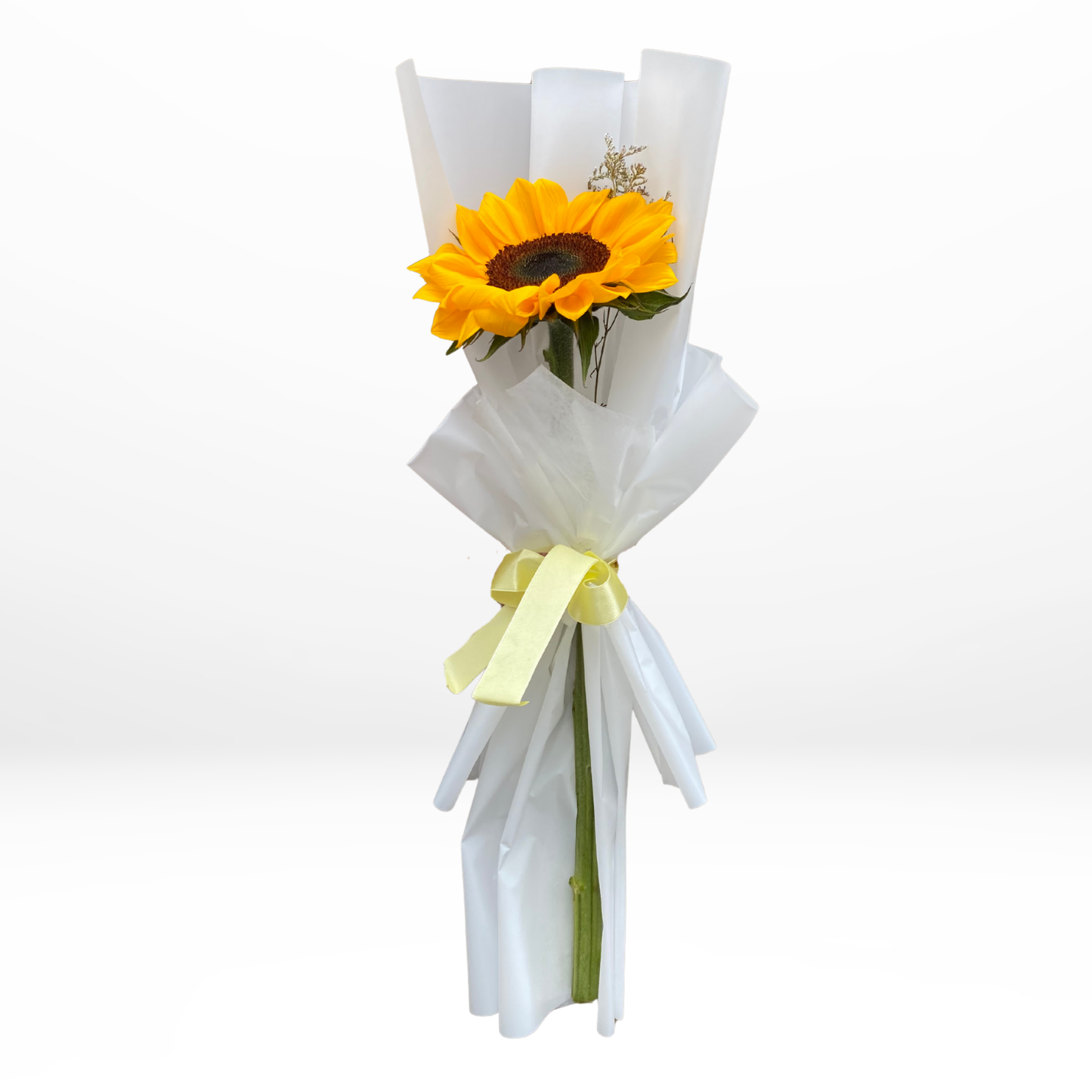 1 Girasol - Flores amarillas