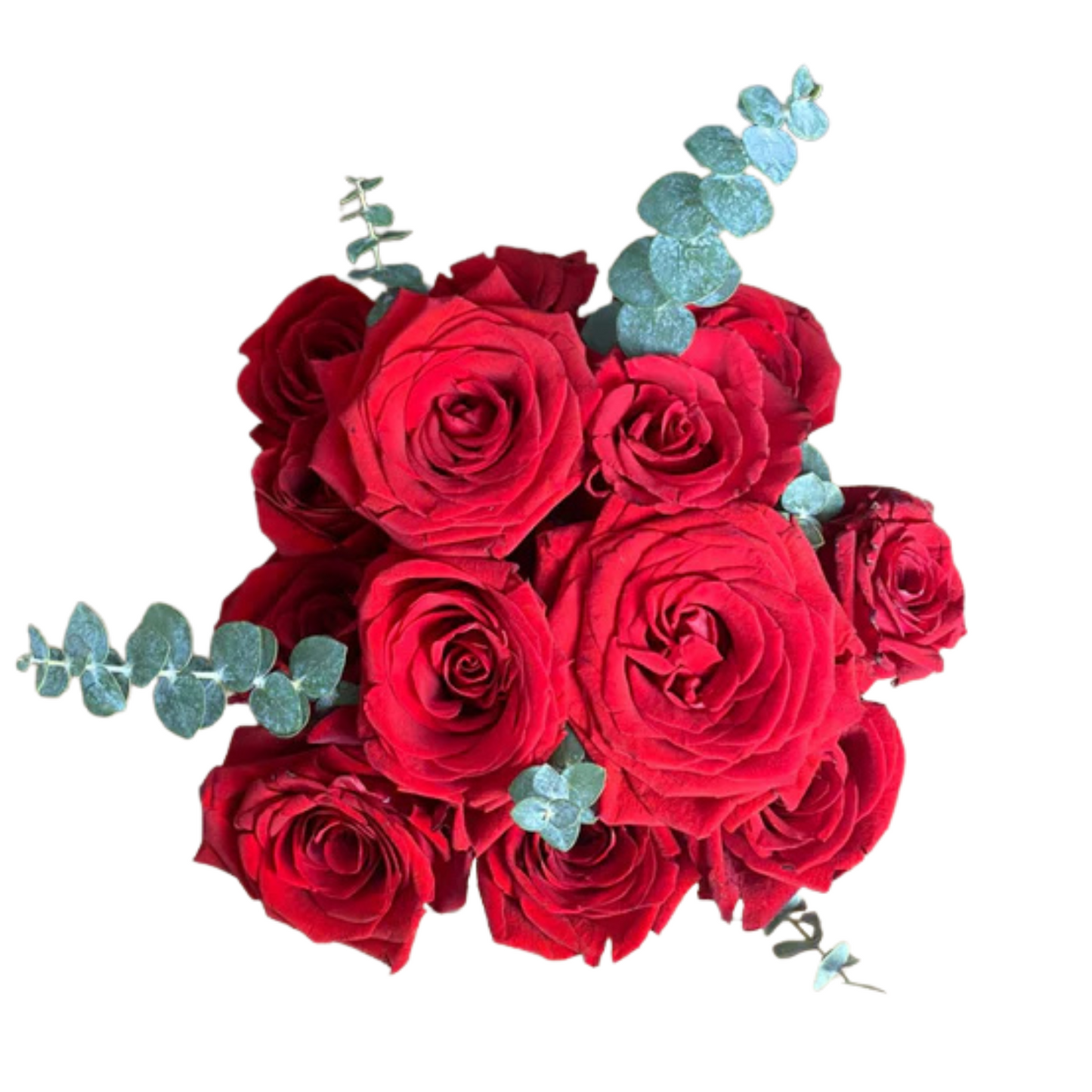 Box Roselia - Caja Rosas
