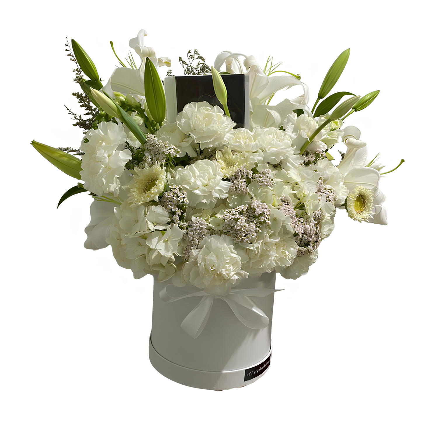 Box Snow – Elegancia Blanca