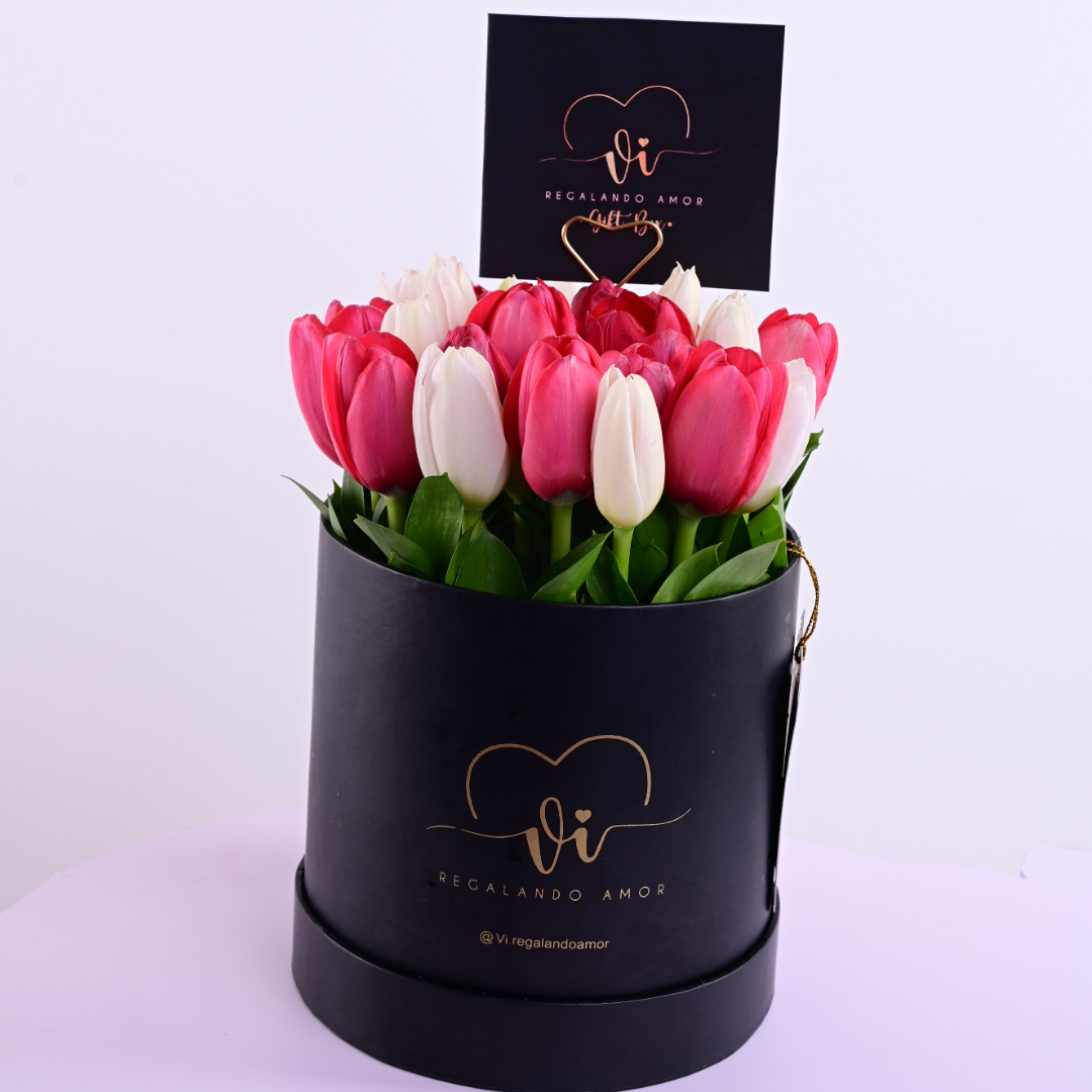 Box de 25 tulipanes color rojo y blanco
