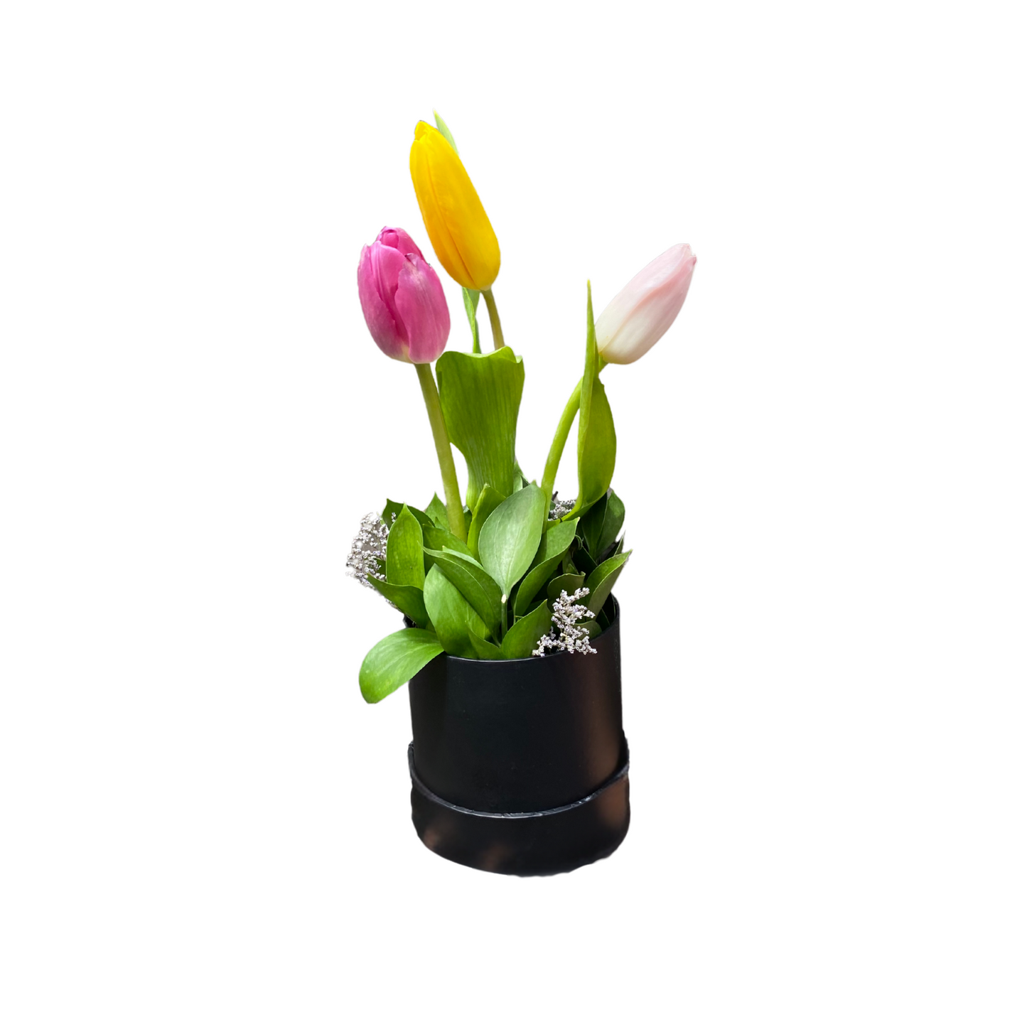 Mini Box de 3 Tulipanes