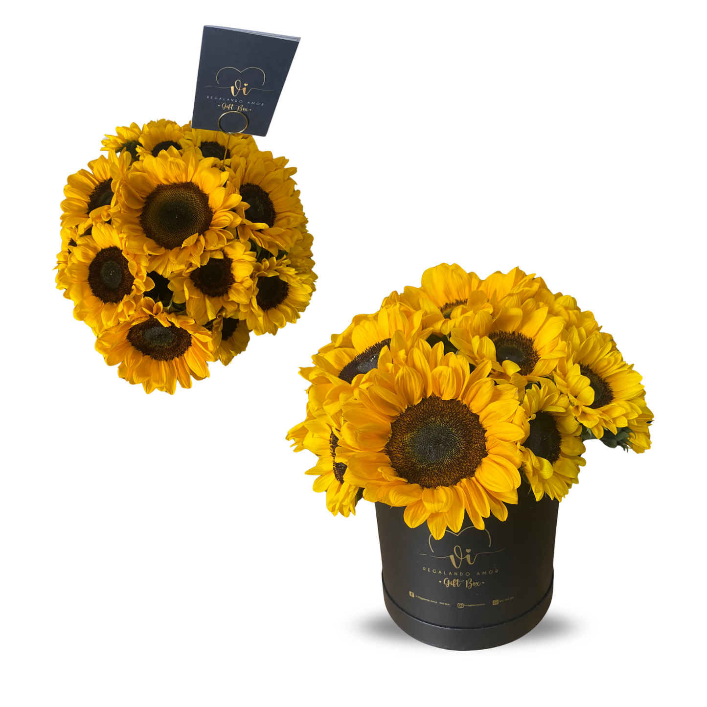 Box Maxima Girasoles Deluxe - Caja Girasoles