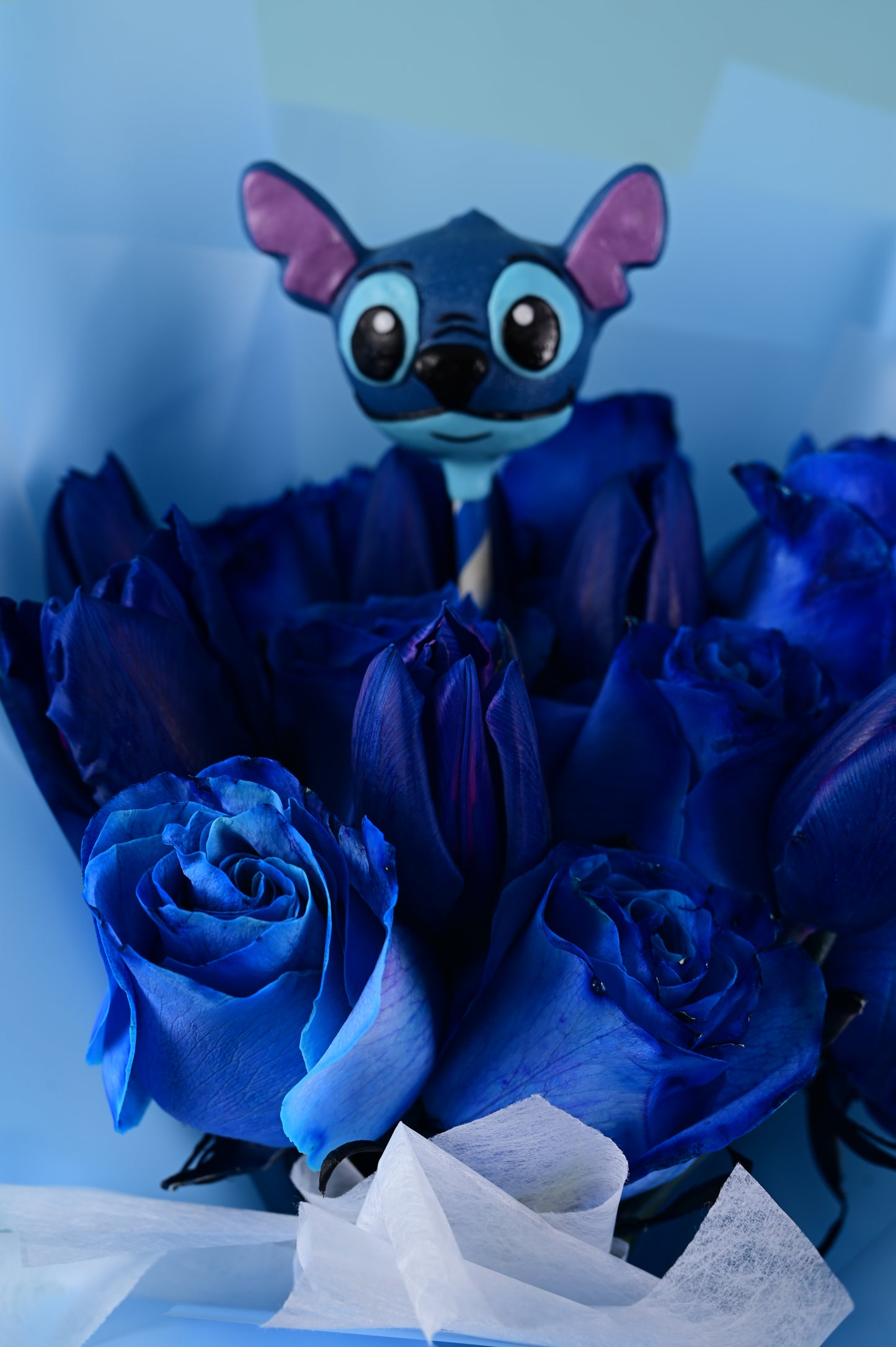Ramo Ohana 🌺