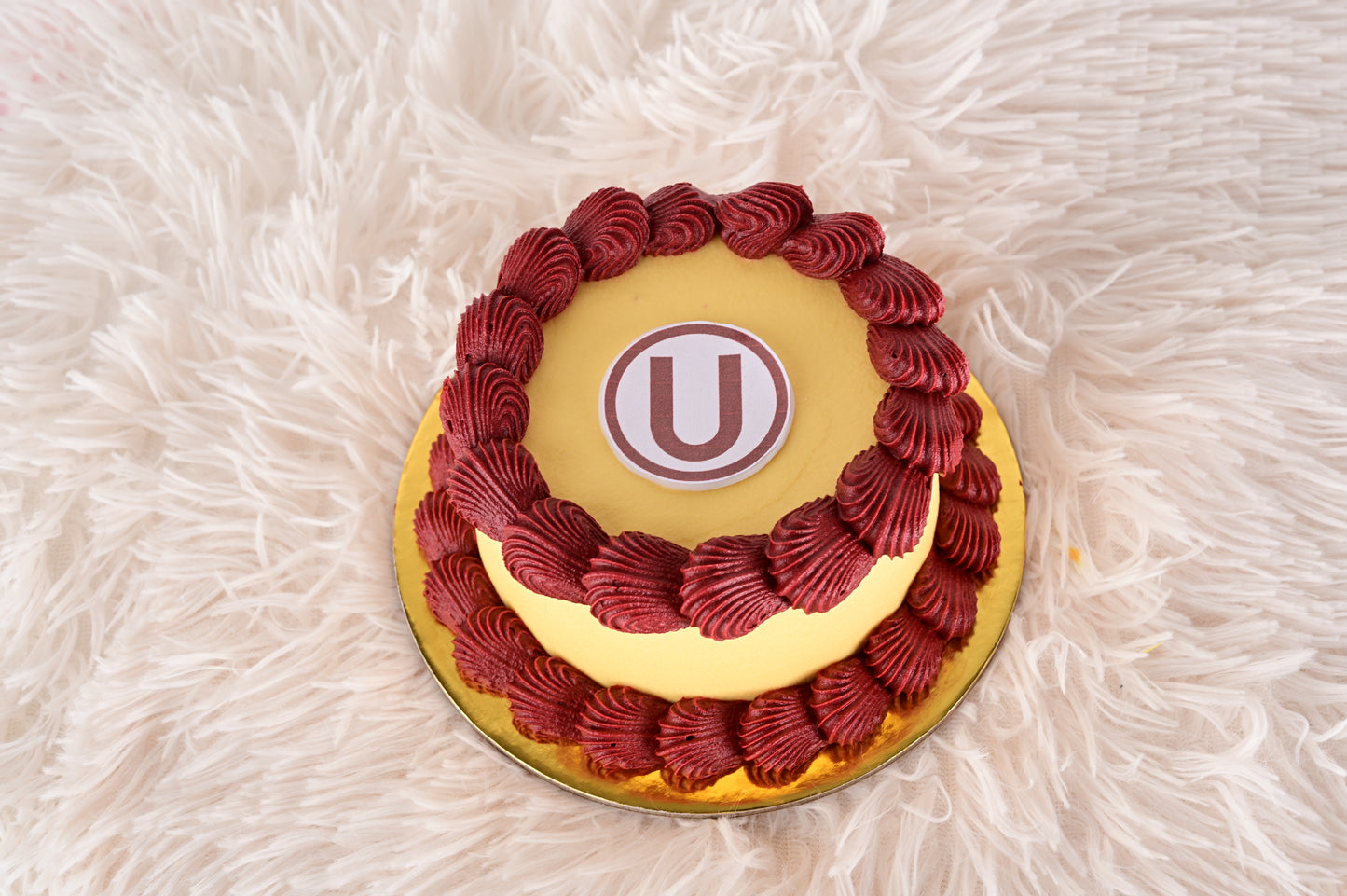 Mini Torta Universitario – Regalo Día del Padre