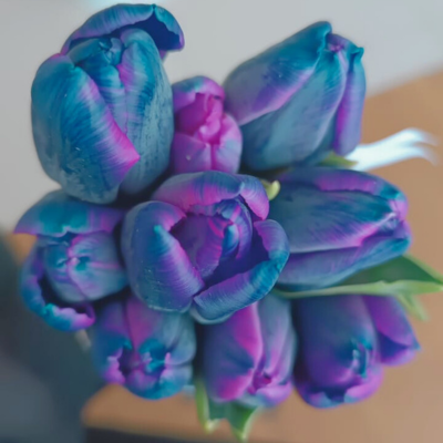 Mini Ramo de 3 Tulipanes Bibble
