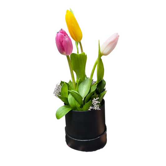 Mini Box de 3 Tulipanes