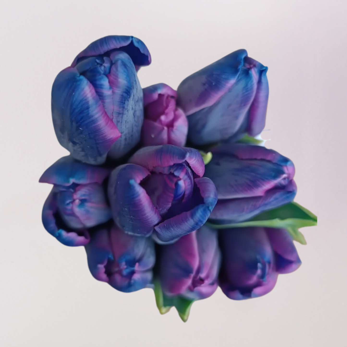 Ramo de 5 tulipanes Bibble
