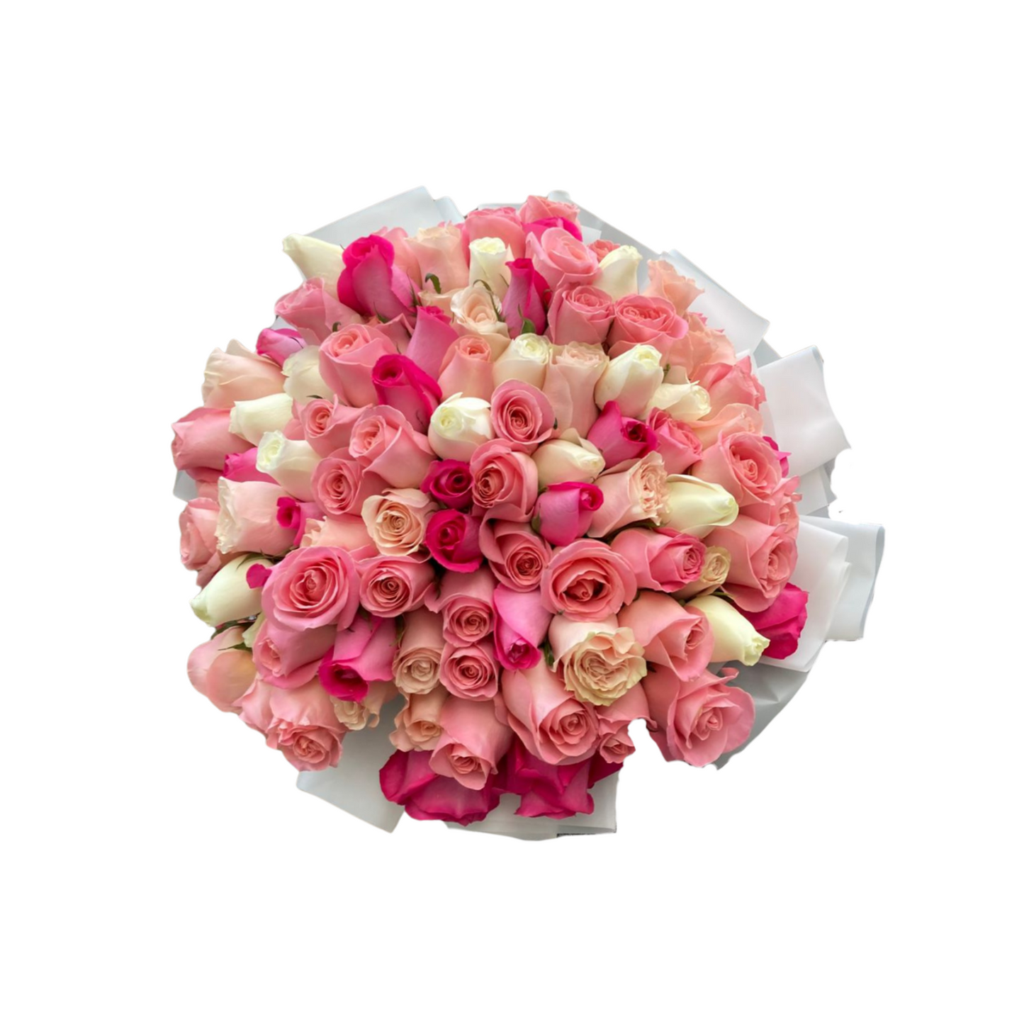 Ramo de 100 rosas rosadas, blancas y fucsias