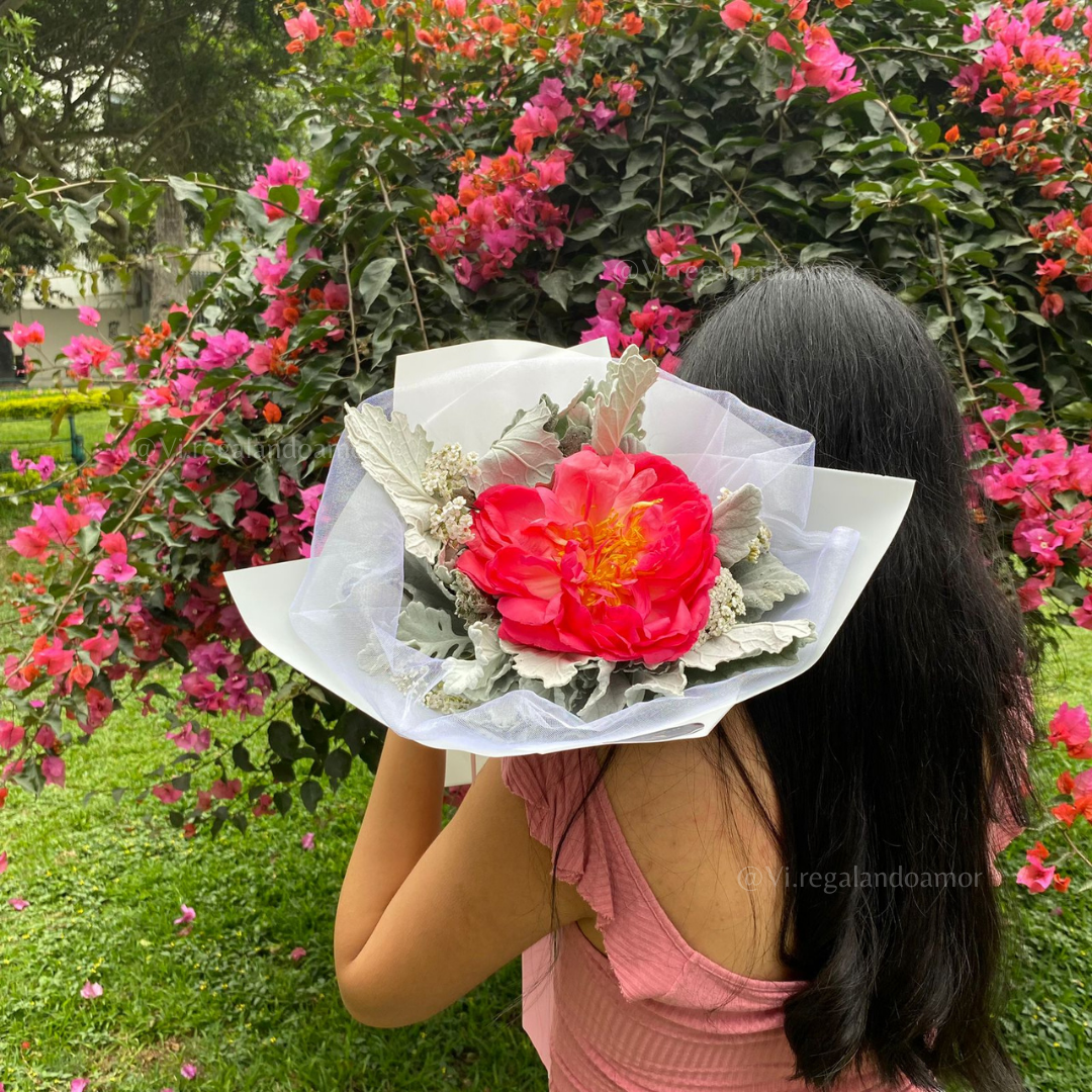 Ramo de 1 peonia con sineraria