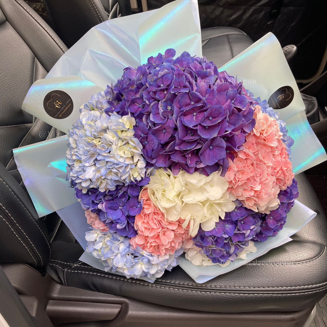 Ramo de 13 hortensias en colores variados