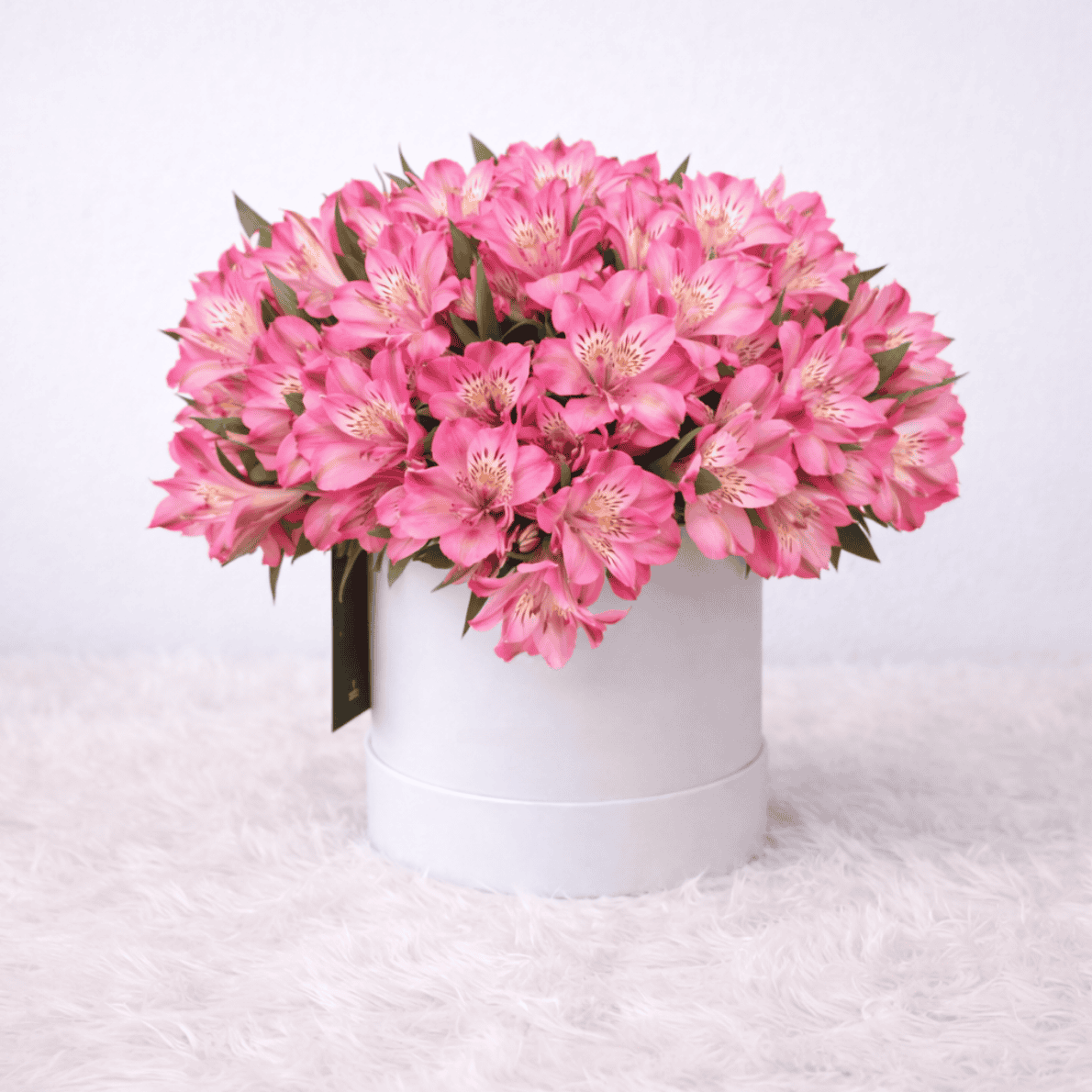 Box astromelias rosadas