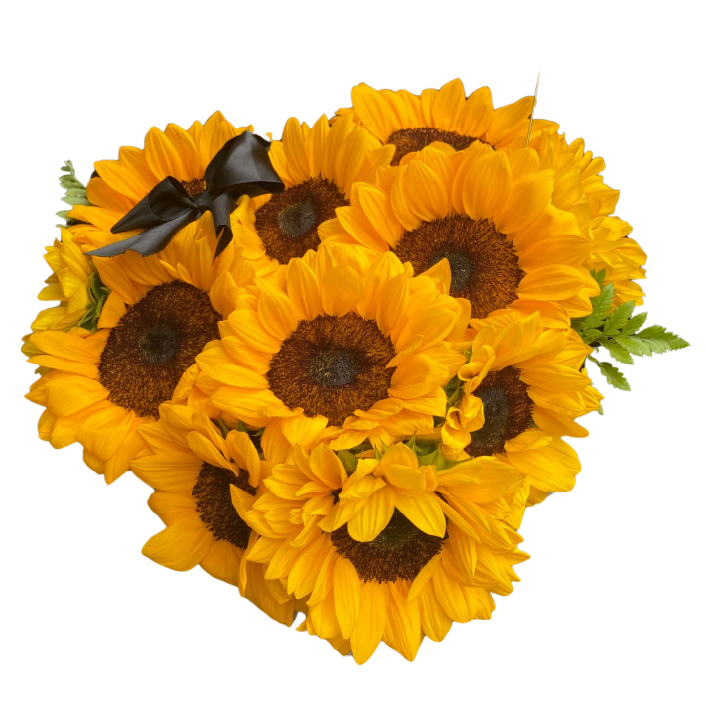Box Gigi - Caja Girasoles
