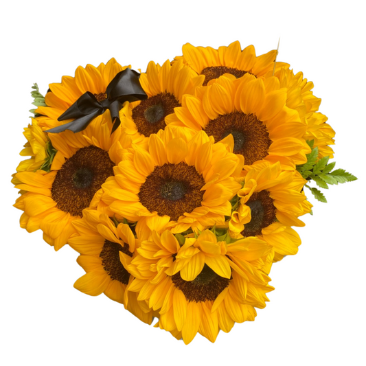 Box Gigi - Caja Girasoles