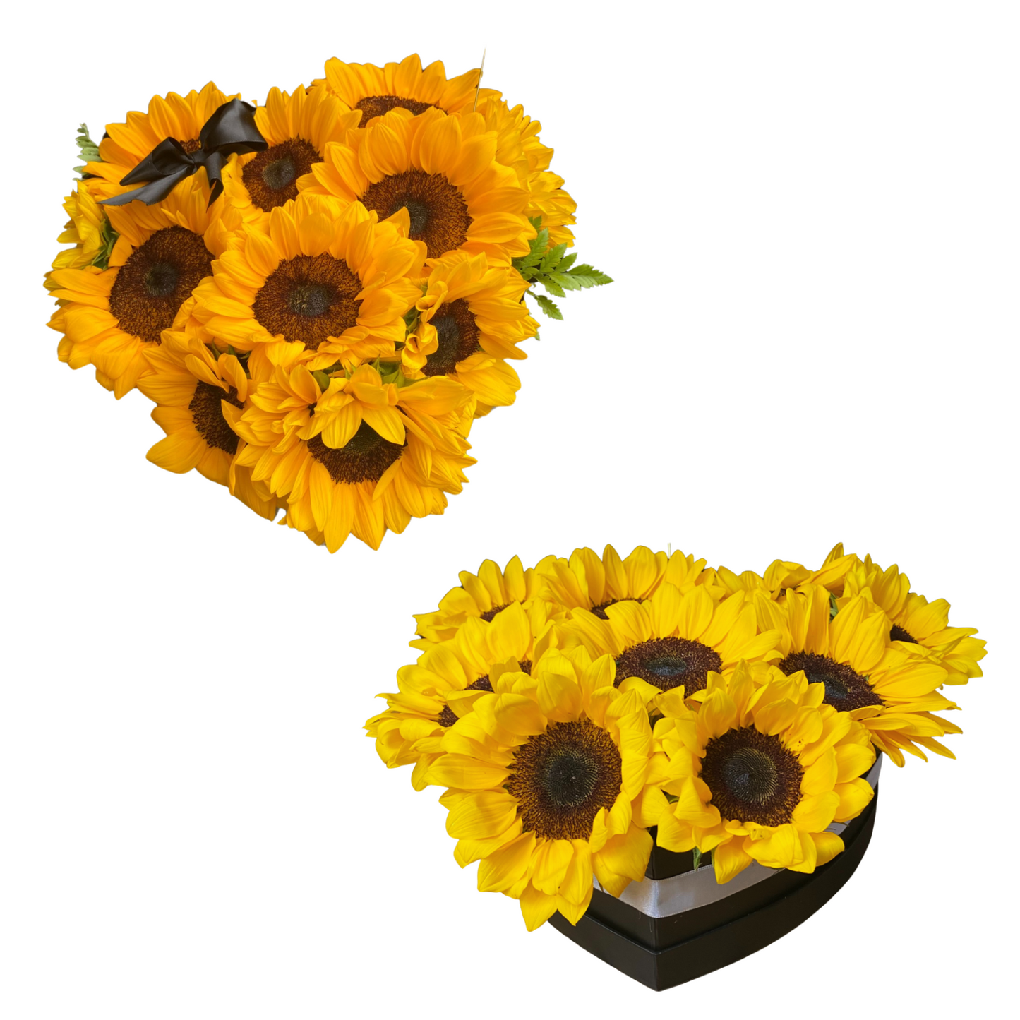 Box Gigi - Caja Girasoles