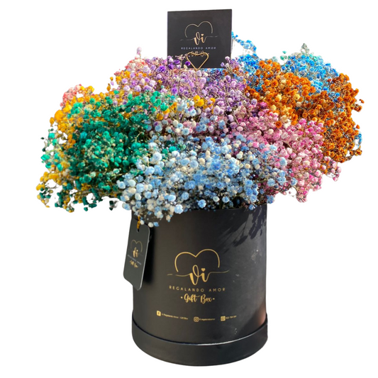 Box Rainbow - Box de colores