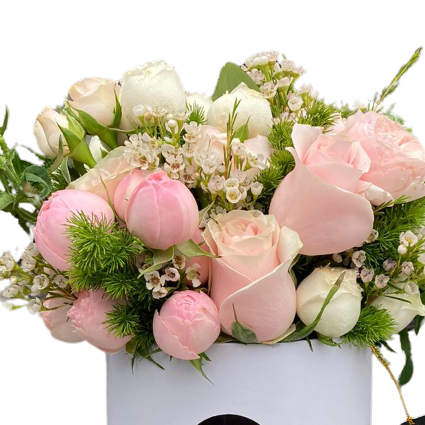 Box Sophia - Rosas Inglesias con mini rosas - Peonias