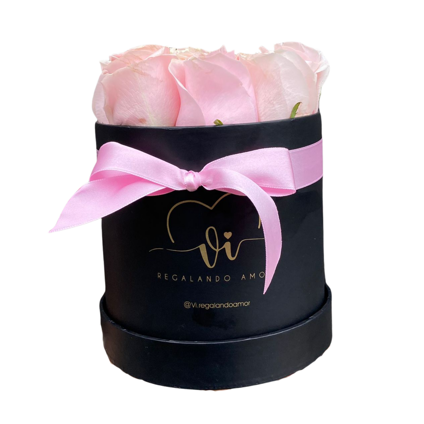 Box Clasico Pink Mundial