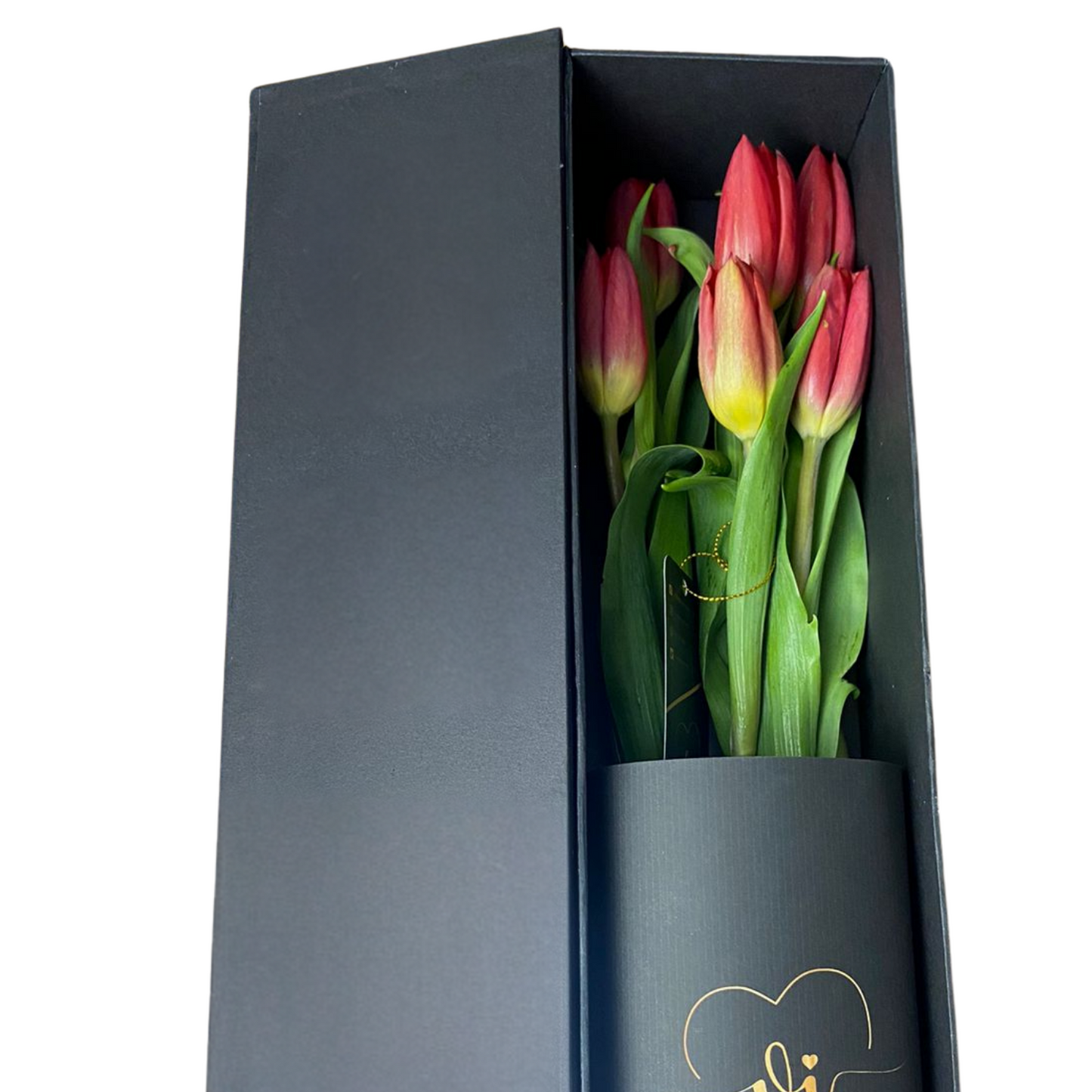 Box Luxury Tulipanes Rojos