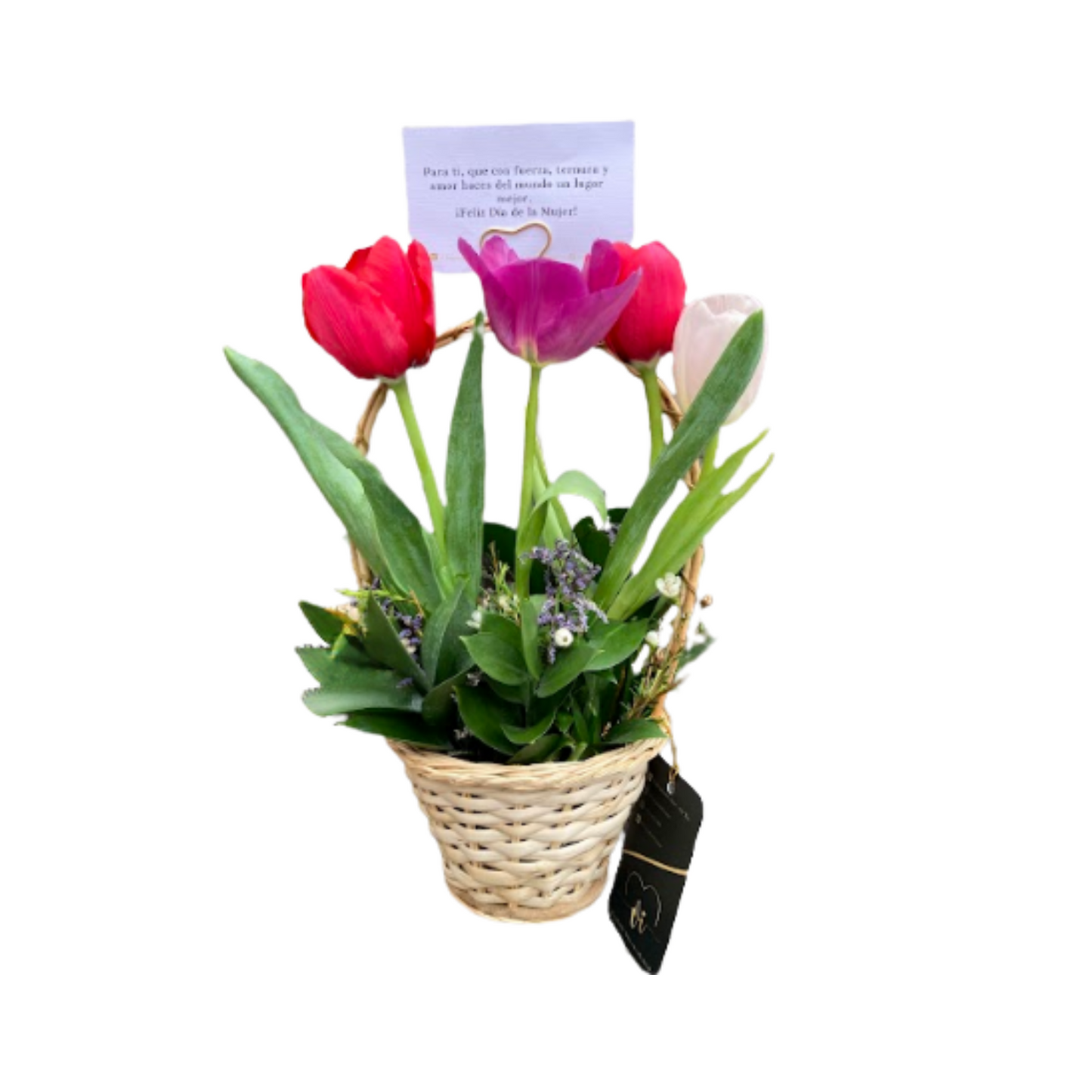 Mini Canasta Daysi de Tulipanes