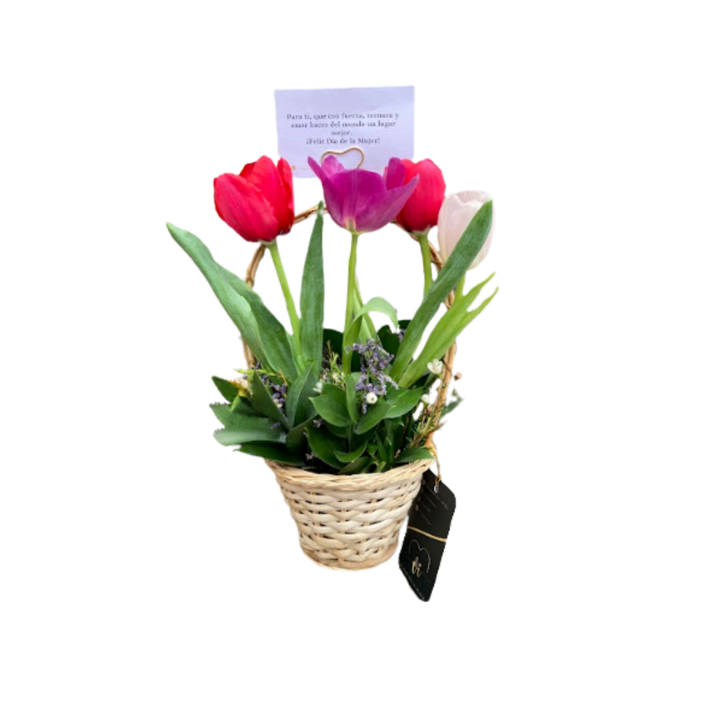 Mini Canasta Daysi de Tulipanes