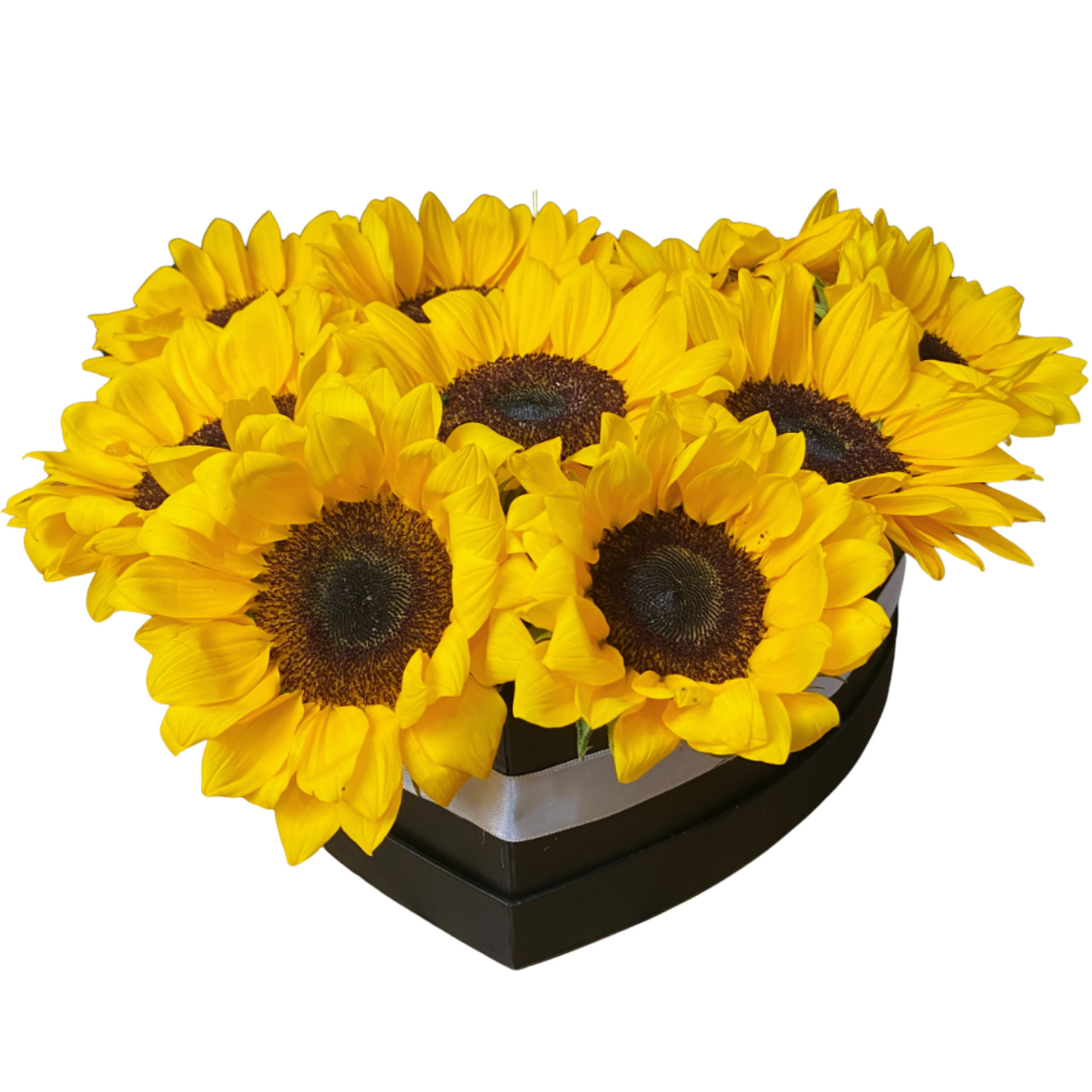 Box Gigi - Caja Girasoles