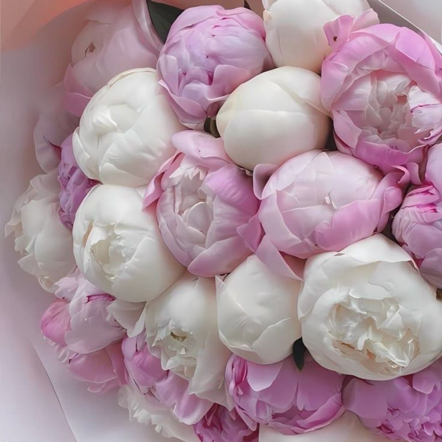 Ramo Cecilie - Ramo de 25 Peonias