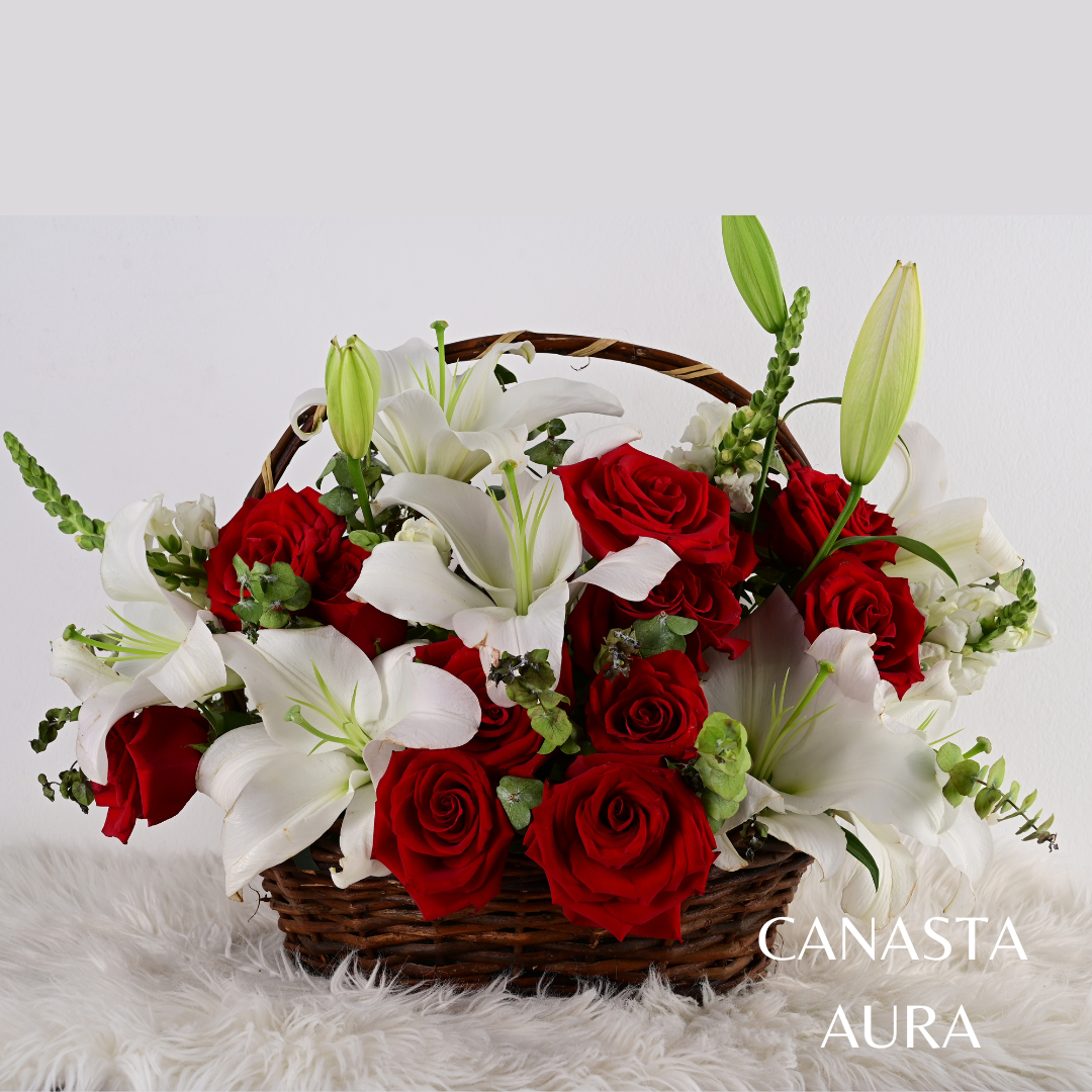 Canasta Aura