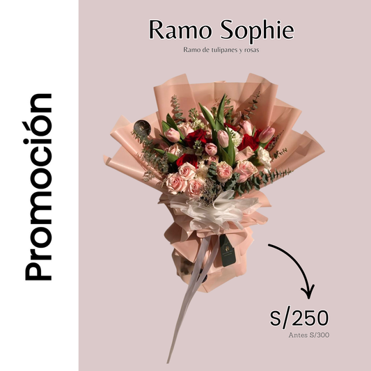 Promocion Ramo sophie