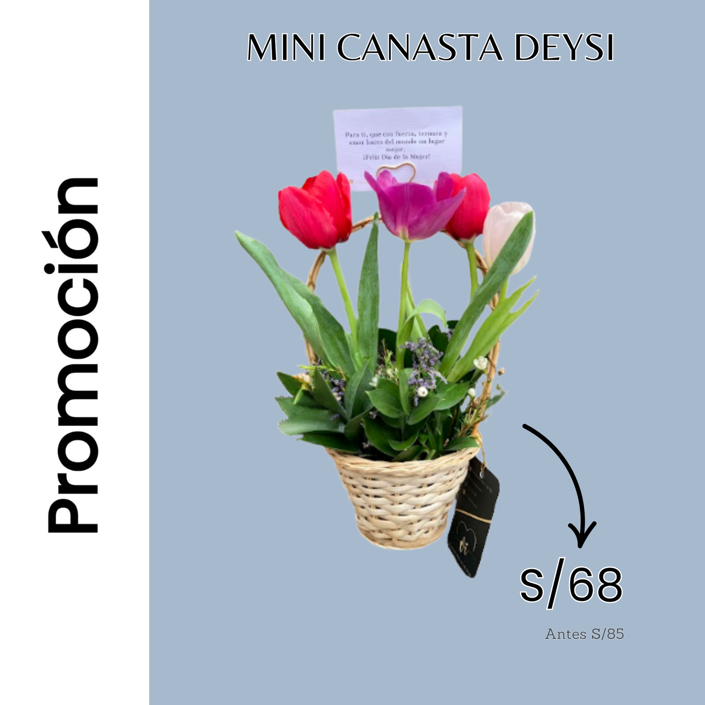 Promocion de mini canasta Deysi