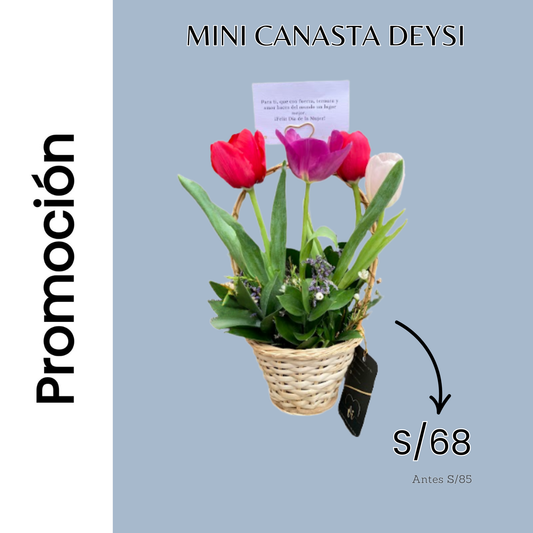 Promocion de mini canasta Deysi