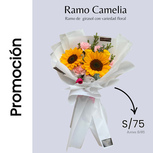 Ramo camelia - Girasoles