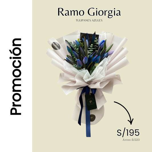 Promocion Giorgia - Bibble