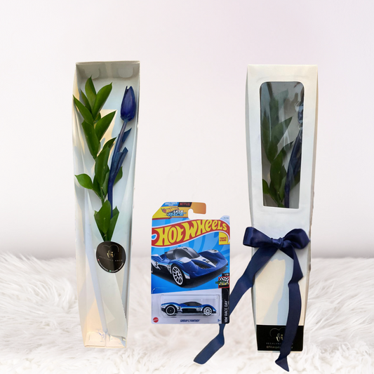 Caja de 1 Tulipán Azul + Carrito HotWheels