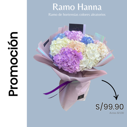 Ramo Hanna - Promo