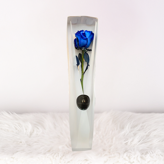 caja de 1 rosa azul