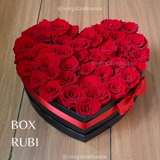 Box Rubi