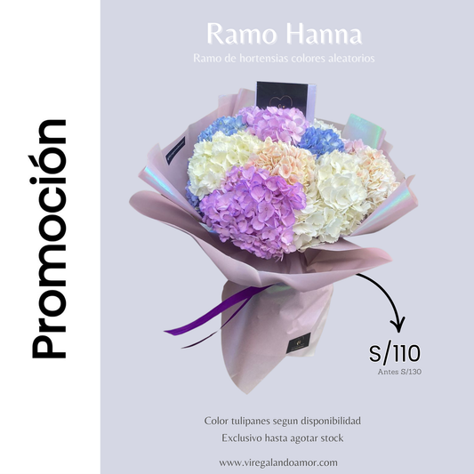 Ramo Hanna - Promo