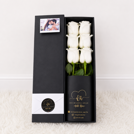 Box Luxury – 6 Rosas Blancas 🤍