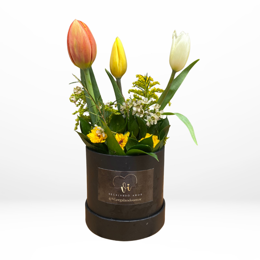 Mini Box Tulipanes Primaverales – Flores amarillas