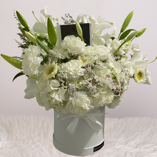 Box Snow – Elegancia Blanca
