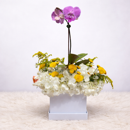 Box anahi – Version - Flores amarillas