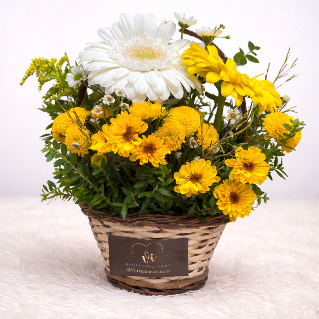 Mini Canasta Isabel – Gerberas Amarillas y Blancas - Flores amarillas