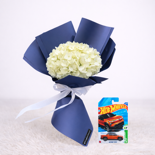 hortensia Blanco + Carrito hotweels