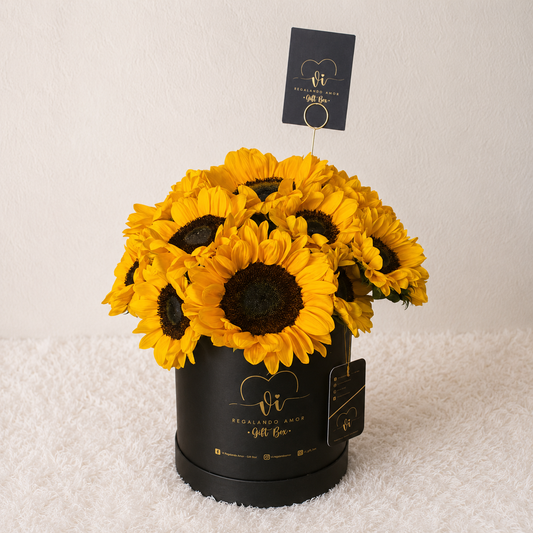 Box Maxima Girasoles Deluxe - Caja Girasoles